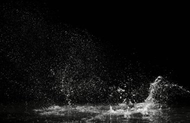 Siyah arkaplanda su sıçraması
