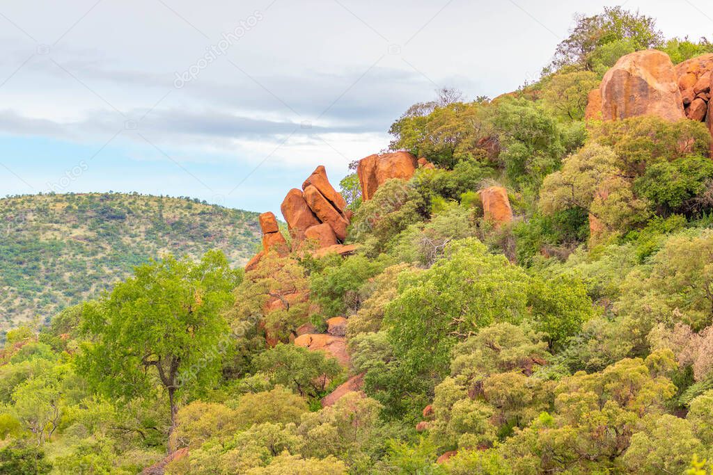 A majestic view at Pilanesberg National Park, South Africa.