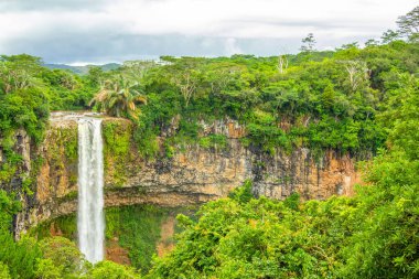 Chamarel Şelalesi Mauritius 'un tropikal ada ormanında.