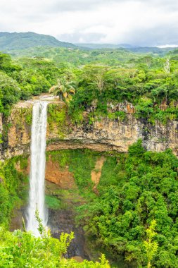Chamarel Şelalesi Mauritius 'un tropikal ada ormanında.