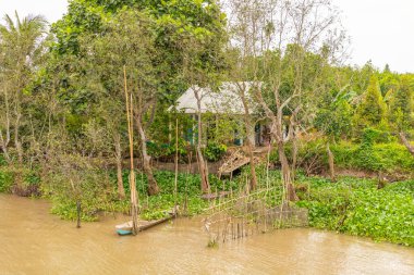 Vietnam 'daki Mekong Nehri' nin güzel doğasında bir çiftçinin evi..