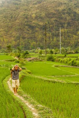 Mai Chau / Vietnam - 09 Mart 2019: Çiftliğinde hayvanları için yiyecek taşıyan bir adam.