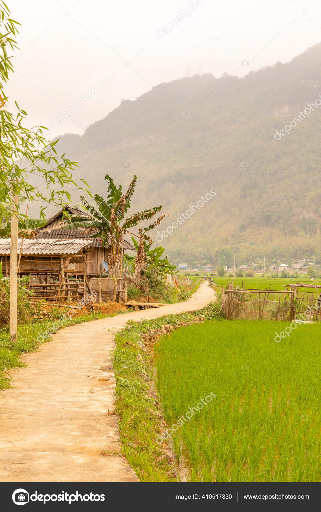Image Mai Châu image beautiful image beautiful image beautiful image beautiful image beautiful image beautiful - Farm Rice Fields Idyllic Valley Beautiful Light Mai Chau Vietnam ...