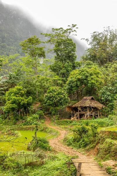 越南Thanh Hoa Luong自然保护区梯田田园的田园风光 — 图库照片