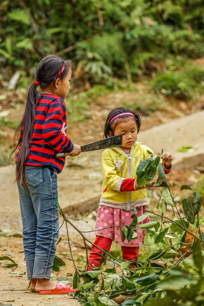 Luong Nature Reserve Thanh Hoa Vietnam March 2019 Luong Nature — Φωτογραφία Αρχείου