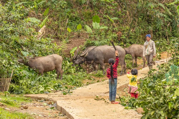 Luong Nature Reserve Thanh Hoa Vietnam March 2019 Κοριτσάκια Υποδέχονται — Φωτογραφία Αρχείου