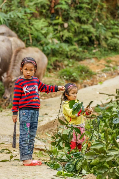 Luong Nature Reserve Thanh Hoa Vietnam March 2019 Ένα Μικρό — Φωτογραφία Αρχείου