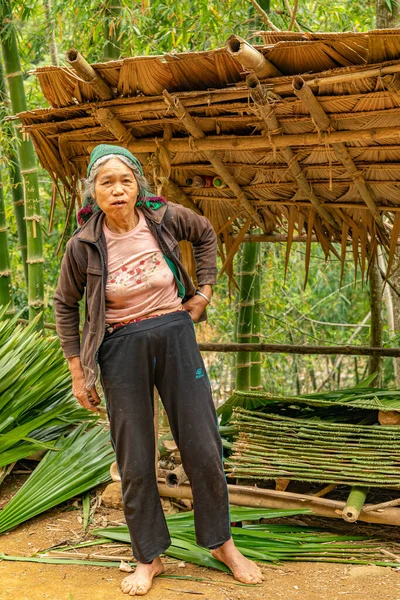 Luong Nature Reserve Thanh Hoa Vietnam March 2019 Μια Γυναίκα — Φωτογραφία Αρχείου