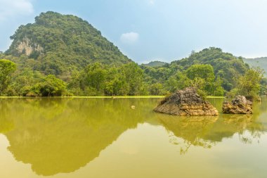 Kuş Vadisi Tam Coc, Ninh Binh, Vietnam.