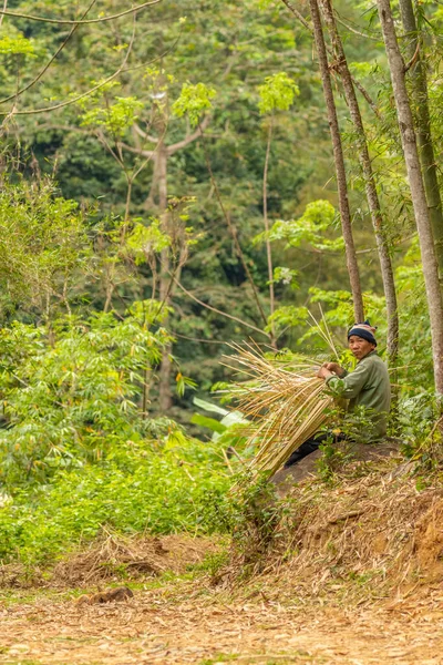 Luong Nature Reserve Thanh Hoa Vietnam March 2019 Ένας Τεχνίτης — Φωτογραφία Αρχείου