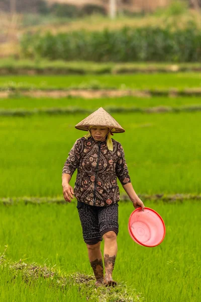 Mai Chau Vietnam March 2019 Μια Γυναίκα Που Εργάζεται Ένα — Φωτογραφία Αρχείου