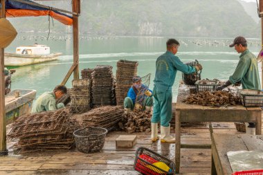 Ha Long Körfezi / Vietnam - 13 Mart 2019: Halong Körfezi 'nde gün batımında, Vietnam. UNESCO Dünya Mirası Alanı.