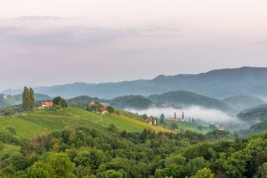 Sabah vakti Avusturya 'daki güney styrian şarap yolunun panoramik manzarasından yeşil tepelere.