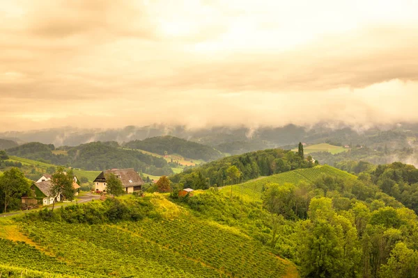 Scenery Vineyard South Styrian Vine Route Named Suedsteirische Weinstrasse Austria — Stock Photo, Image