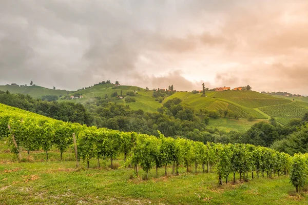 Paesaggio Vigneto Lungo Percorso Viticolo Della Stiria Meridionale Chiamato Suedsteirische — Foto Stock