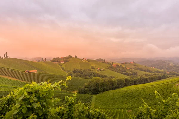 Günbatımında Avusturya, Avrupa 'da Suedsteirische adında güney Styrian asma yolu boyunca manzara bağları.