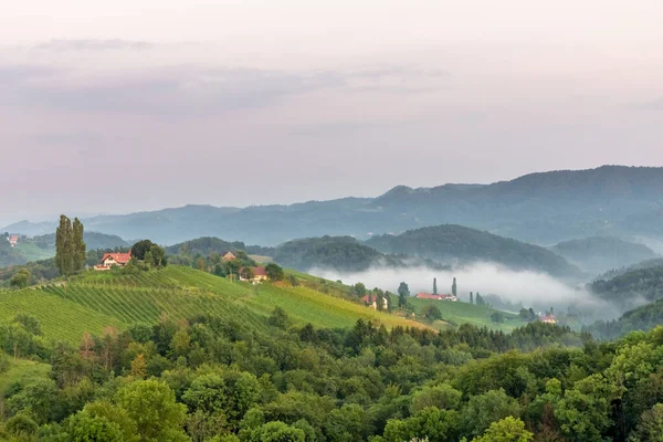 Panoramiczny Widok Winnicy Zielonych Wzgórz Południowej Styryjskiej Trasy Wina Austrii — Zdjęcie stockowe