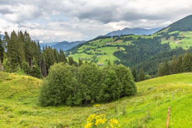 Avusturya, Ellmau 'daki güzel Alpler manzarası.