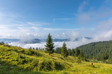 Sabahki Hartkaiser manzarası Wilder Kaiser, Ellmau, Avusturya.