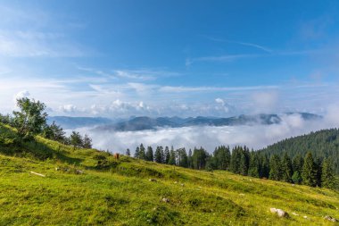 Sabahki Hartkaiser manzarası Wilder Kaiser, Ellmau, Avusturya.