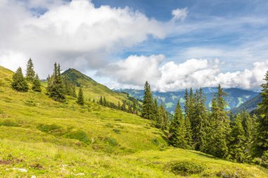Yeşil çayır ve nefes kesen gökyüzü ile dağ tepeleri olan güzel dağlık arazi, Westendorf, Tyrol Alps, Avusturya.