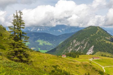 Yeşil çayır, dağlık kır evleri ve dağ tepeleri, Westendorf, Tyrol Alps, Avusturya.