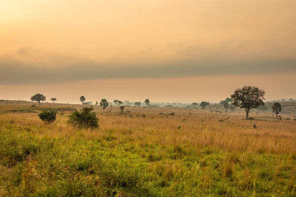 Захватывающий Пейзаж Национального Парка Мурчисон Фолс Восходе Солнца Уганда — стоковое фото