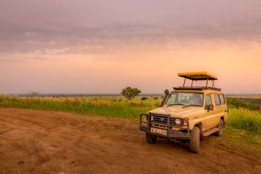 Kraliçe Elizabeth Ulusal Parkı / Uganda - 29 Şubat 2020: Kraliçe Elizabeth Ulusal Parkı Safari, Uganda.