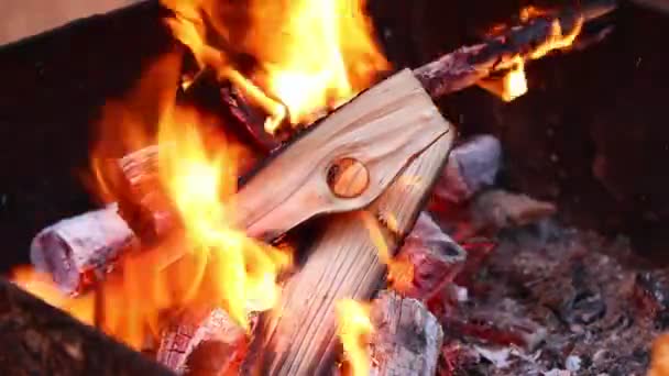 Καύση κομμάτια ξύλου για να σχηματίσουν άνθρακα. Προετοιμασία μπάρμπεκιου. Φωτιά πριν το μαγείρεμα. — Αρχείο Βίντεο