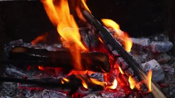 Holzhackschnitzel zu Kohle verbrennen. Grillzubereitung. Feuer vor dem Kochen. — Stockvideo