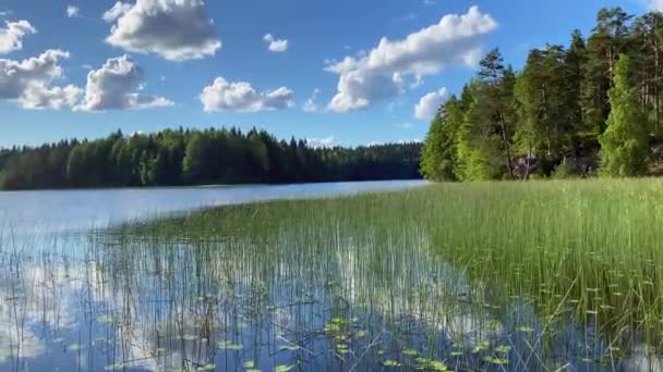 Beau lac sur fond d'arbres verts et de ciel bleu. République de Carélie. Vidéo Vidéo 4k. — Video