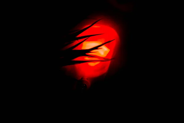 Silhouette Herbe Avec Lumière Rouge Arrière Plan — Photo