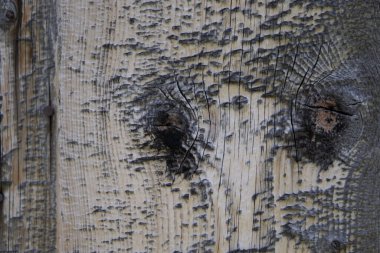 Yüksek çözünürlüklü ahşap dokular, gri kahverengi siyah beyaz çizgiler.