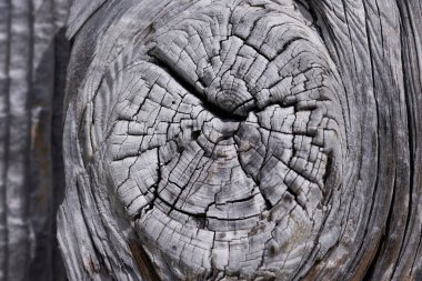 Yüksek çözünürlüklü ahşap dokular, gri kahverengi siyah beyaz çizgiler.