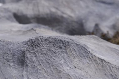Yüksek çözünürlüklü taş dokusu gri siyah beyaz