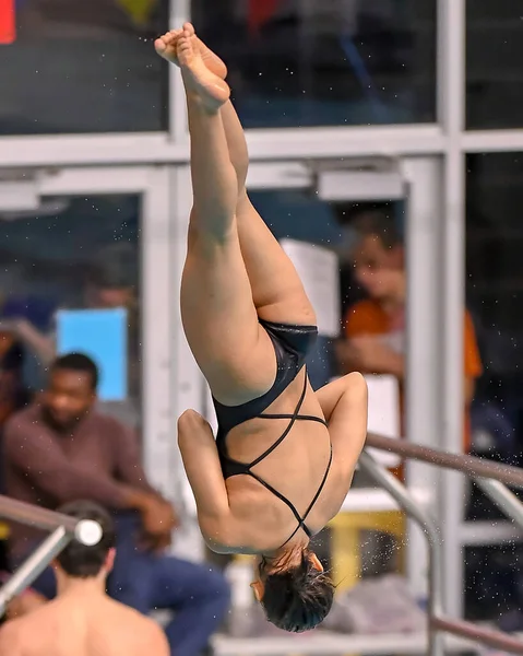 Girl Divers Competindo Encontro Mergulho Uma Competição Sul Texas — Fotografia de Stock