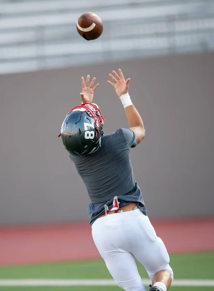 Great action photos of football players making amazing plays during a football game