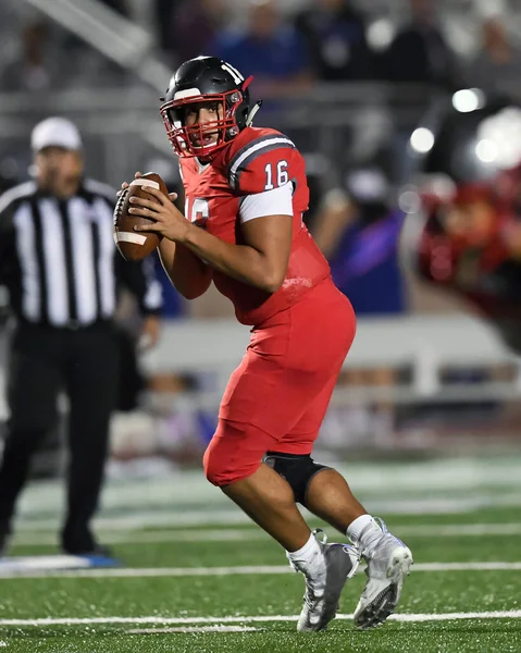 Great action photos of football players making amazing plays during a football game