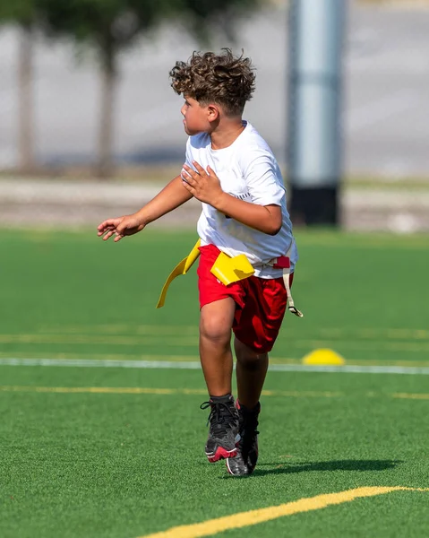 Χαριτωμένο Αγόρι Παίζει Ένα Παιχνίδι Ποδοσφαίρου Σημαία — Φωτογραφία Αρχείου