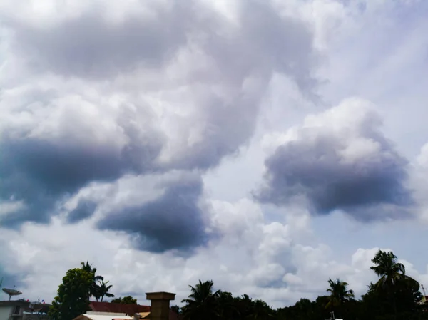 木々の上から遠く離れたところから見ると 雲は暗く 濃い青の色をしています 雲は十分大きく 形も違います — ストック写真