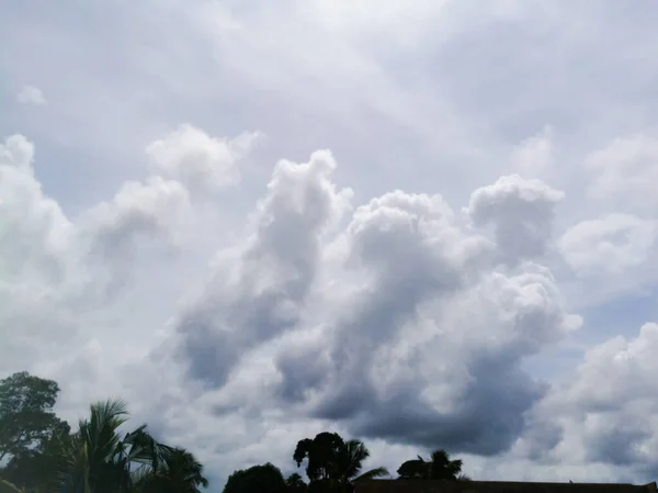 Nuvens Chuvosas Uma Distância Distante Topo Das Árvores Nuvens São — Fotografia de Stock