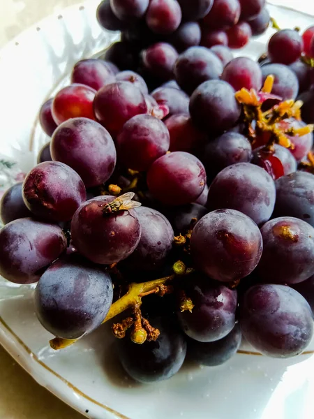 Grapes placed on a white plate having an insect on it.Grape have a dark reddish color .