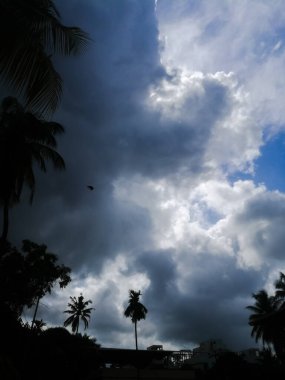 Bulutlu bir gün gökyüzü balkondan görünüyor. Gölge ve siyah renkli hindistan cevizi ağaçlarını ve gökyüzünde kuşları görebilirsiniz. Açık gökyüzü yavaşça koyu bulutlarla kaplıdır..