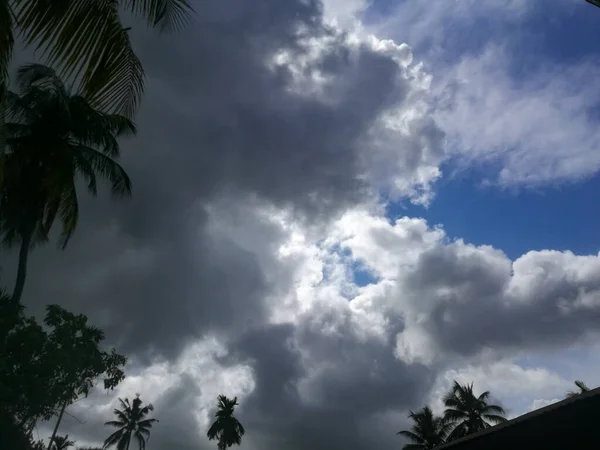 バルコニーからは雲一つない空の景色が広がり 影の下のヤシの木や空の黒い色や鳥を見ることができます — ストック写真