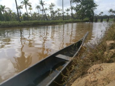 Hindistan cevizi ağaçları kıyıda ve yüzen ördeklerin olduğu doğal uzun göller. Hindistan cevizi ağaçları gölün her iki tarafında sıralanmıştır. Gökyüzü berrak beyaz bulutlara sahiptir ve kıyılar iyi inşa edilmiştir..