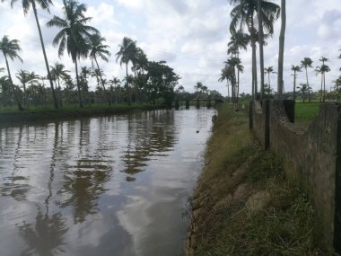 Hindistan cevizi ağaçları kıyıda ve yüzen ördeklerin olduğu doğal uzun göller. Hindistan cevizi ağaçları gölün her iki tarafında sıralanmıştır. Gökyüzü berrak beyaz bulutlara sahiptir ve kıyılar iyi inşa edilmiştir..