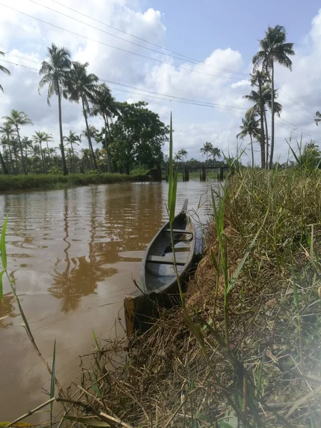 Przyroda Długie Jeziora Kokosowych Drzew Brzegu Pływające Kaczki Nim Kokosowe — Zdjęcie stockowe