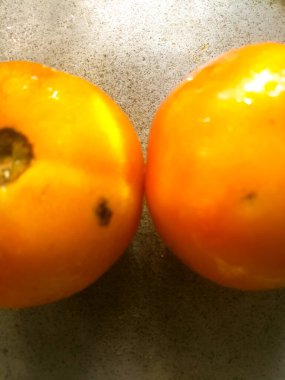 İki domates arasındaki boşluktan geçen bir alüminyum plaka. Alüminyum tabakta siyah noktalar var ve üzerine yerleştirilen domatesler sığ derinlikte..