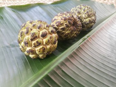 Muz yaprağına izole edilmiş muhallebi elması. Meyvenin sert teni ve derisinde siyah ve yeşil gölgeler var. Yeşil muz yaprağının üzerinde çizgiler var..