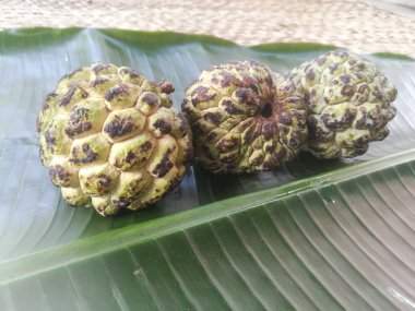 Muz yaprağına izole edilmiş muhallebi elması. Meyvenin sert teni ve derisinde siyah ve yeşil gölgeler var. Yeşil muz yaprağının üzerinde çizgiler var..